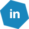 lp-linkedin-icon