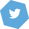 lp-twitter-icon