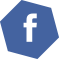 lp-facebook-icon